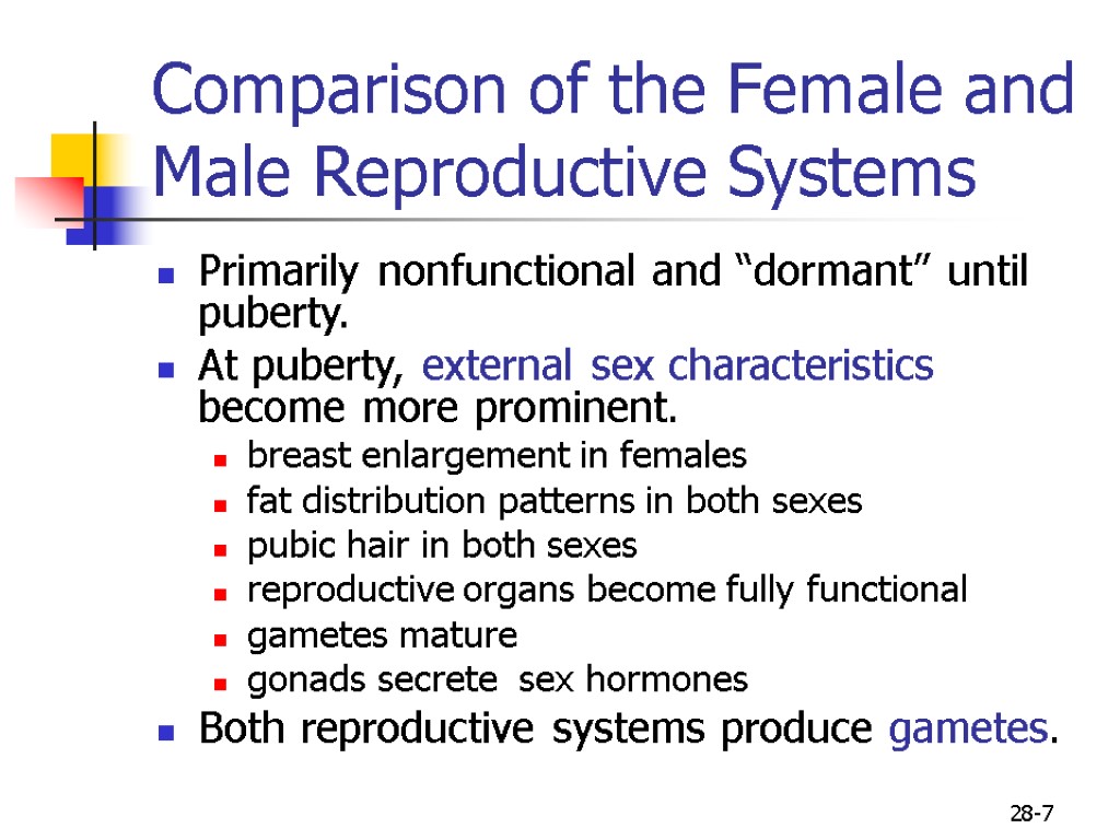 28-7 Comparison of the Female and Male Reproductive Systems Primarily nonfunctional and “dormant” until